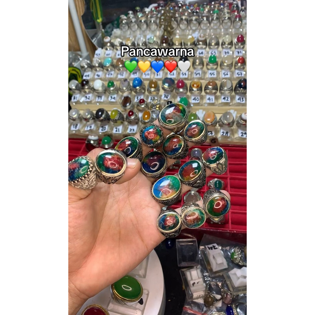 pancawarna rubah sukabumi