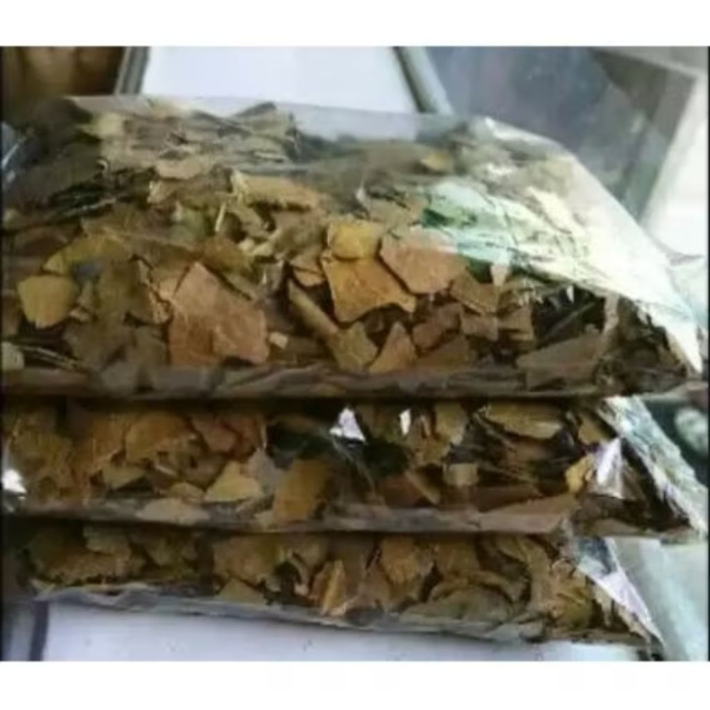 100 g DAUN SUKUN KERING|OBAT HERBAL DAUN SUKUN