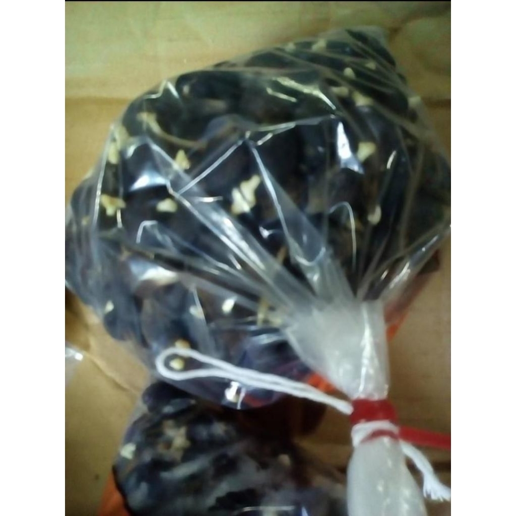 benih kecmbah sawit super ppks