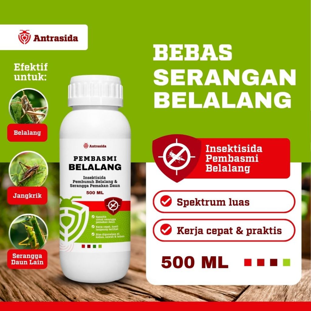 ANTRASIDA - Pembasmi Belalang  500 ml – Insektisida Pembunuh Belalang & Serangga Pemakan Daun