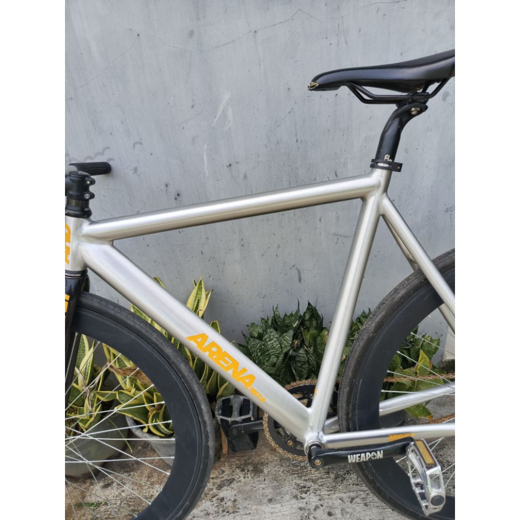 Ardently arena pista