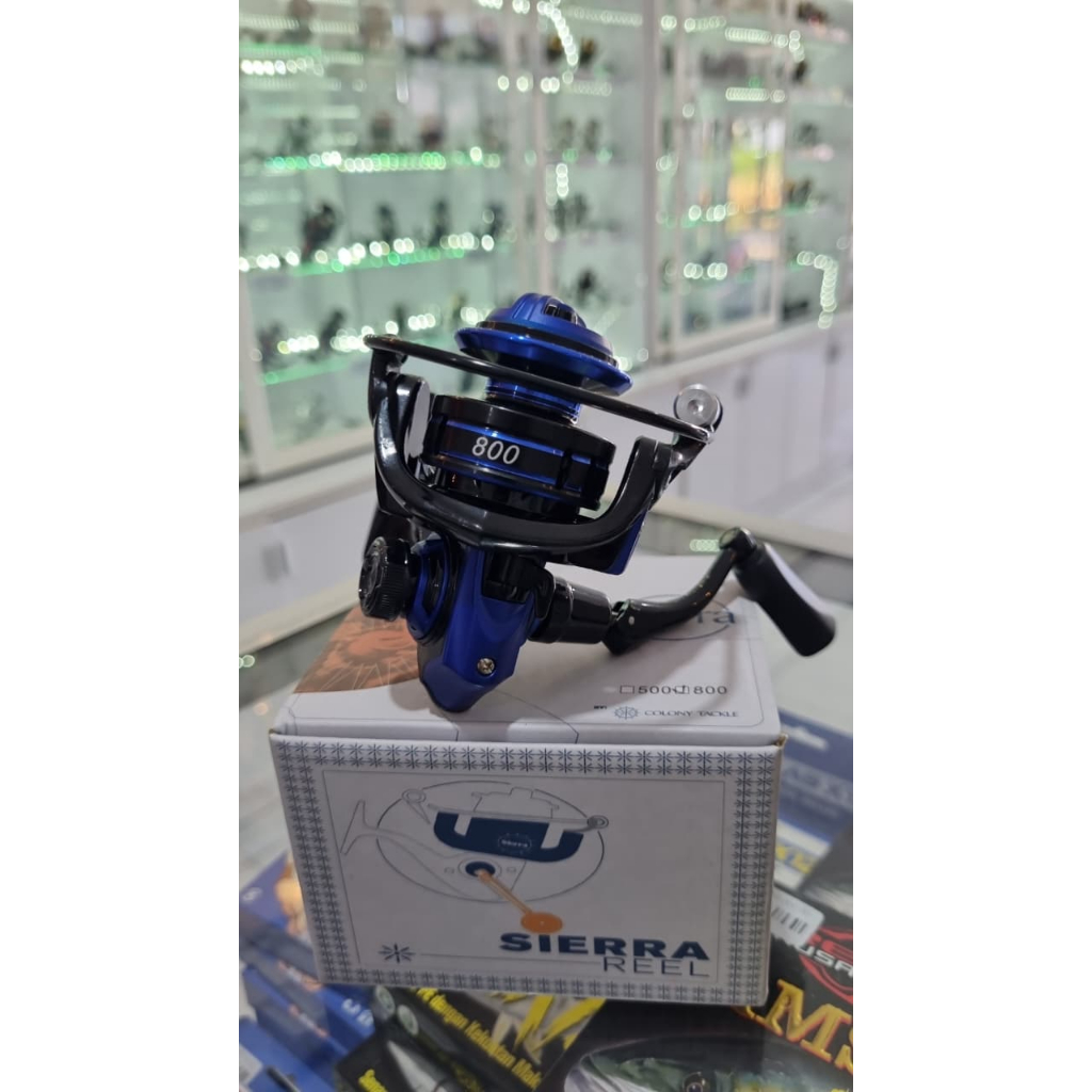 RELL SIERRA 800 | REEL PANCING