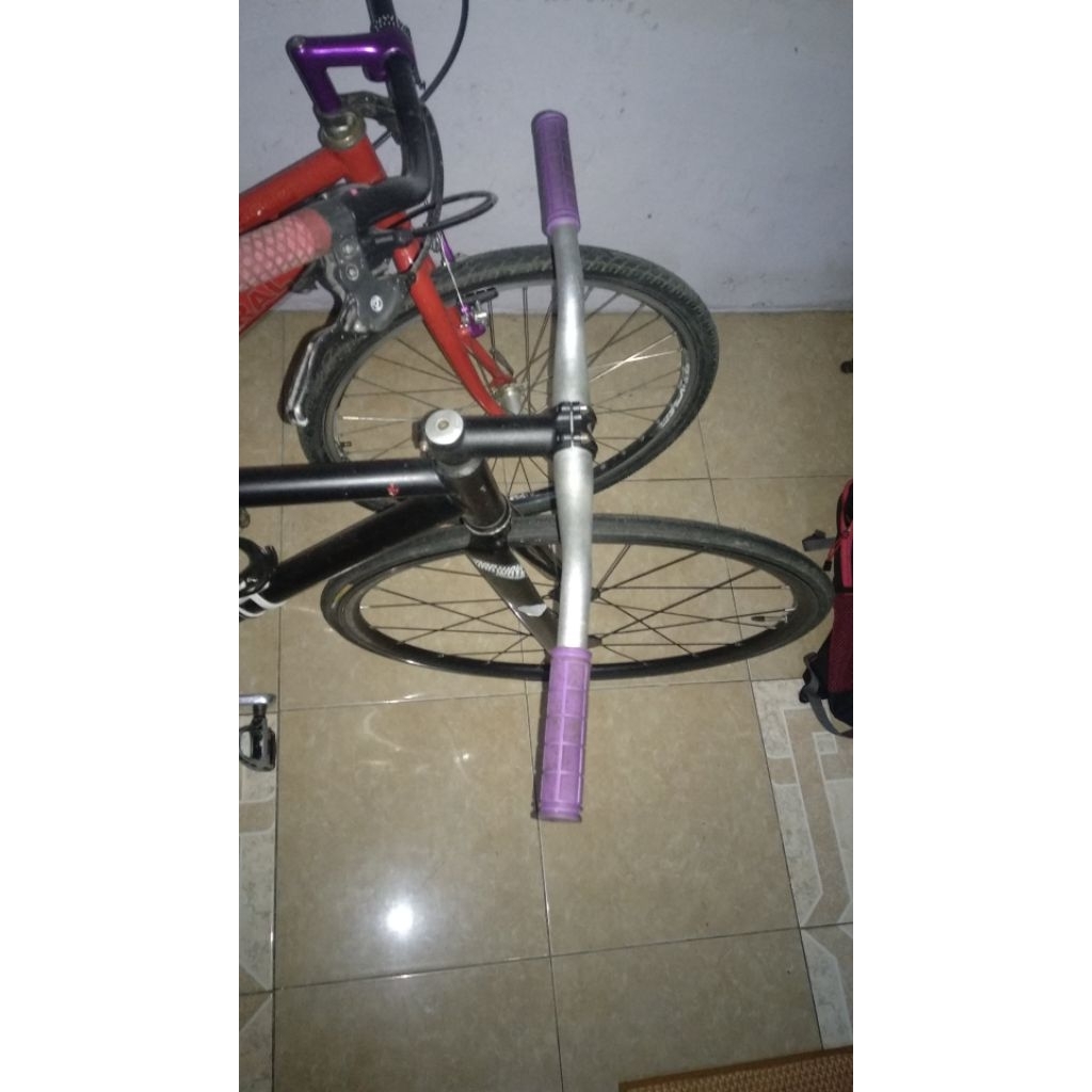 Risebar OS + handgrip