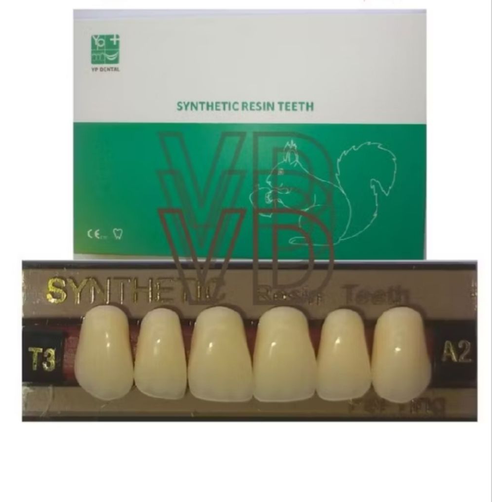 Gigi synthetic YP DENTAL Depan Atas 1 Papan isi 6 Butir