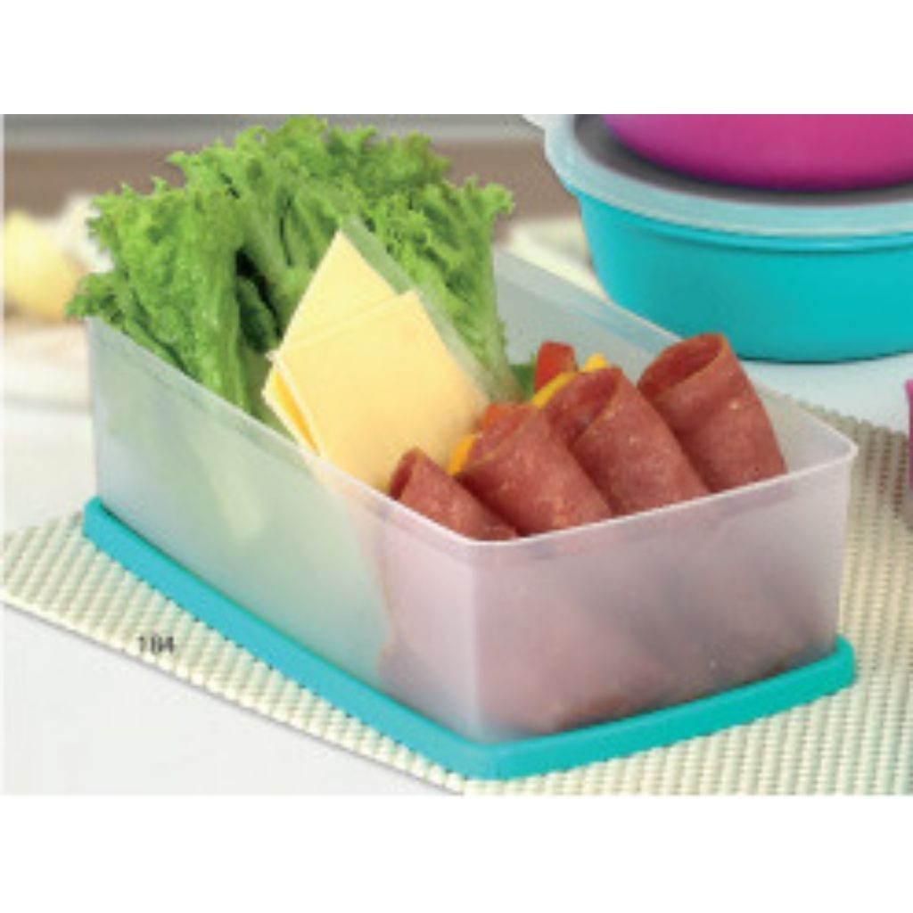 Tupperware Pak N Store New (1pcs)