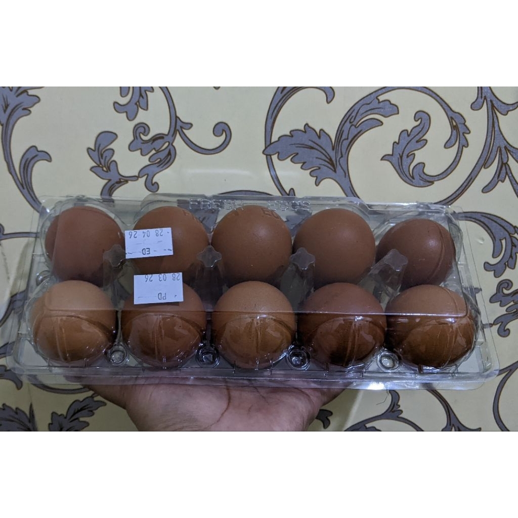 Telur Ayam Segar/Telur Ayam Negeri isi 10 butir
