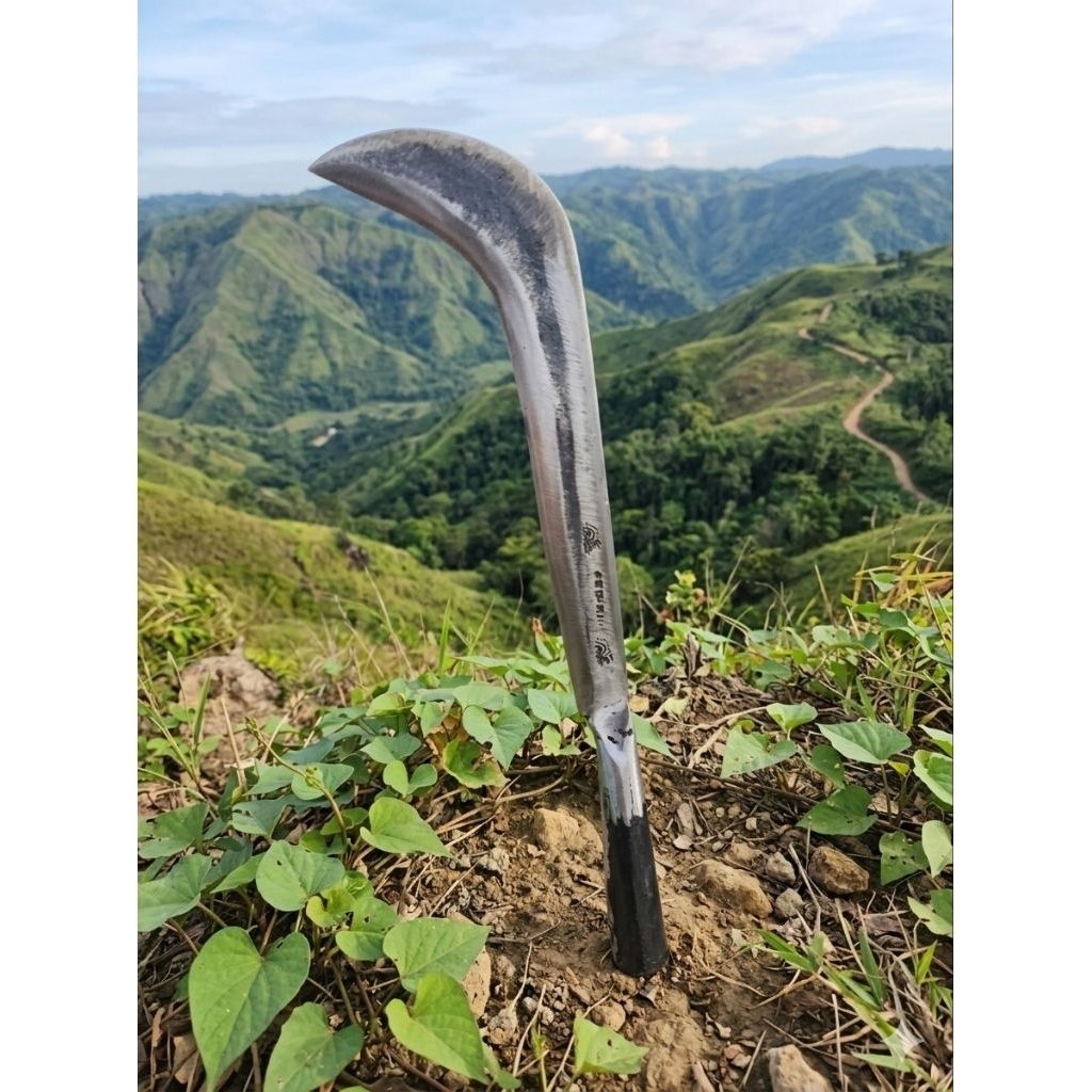 Ndorit bendo arit alat pembersih semak belukar panjang full 45 cm