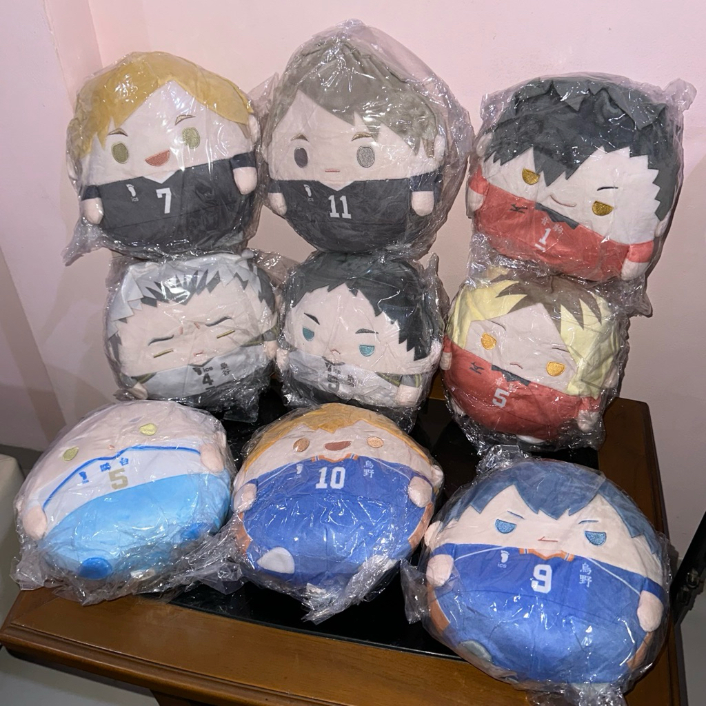 Haikyuu Nui Kuji Fuwakororin M