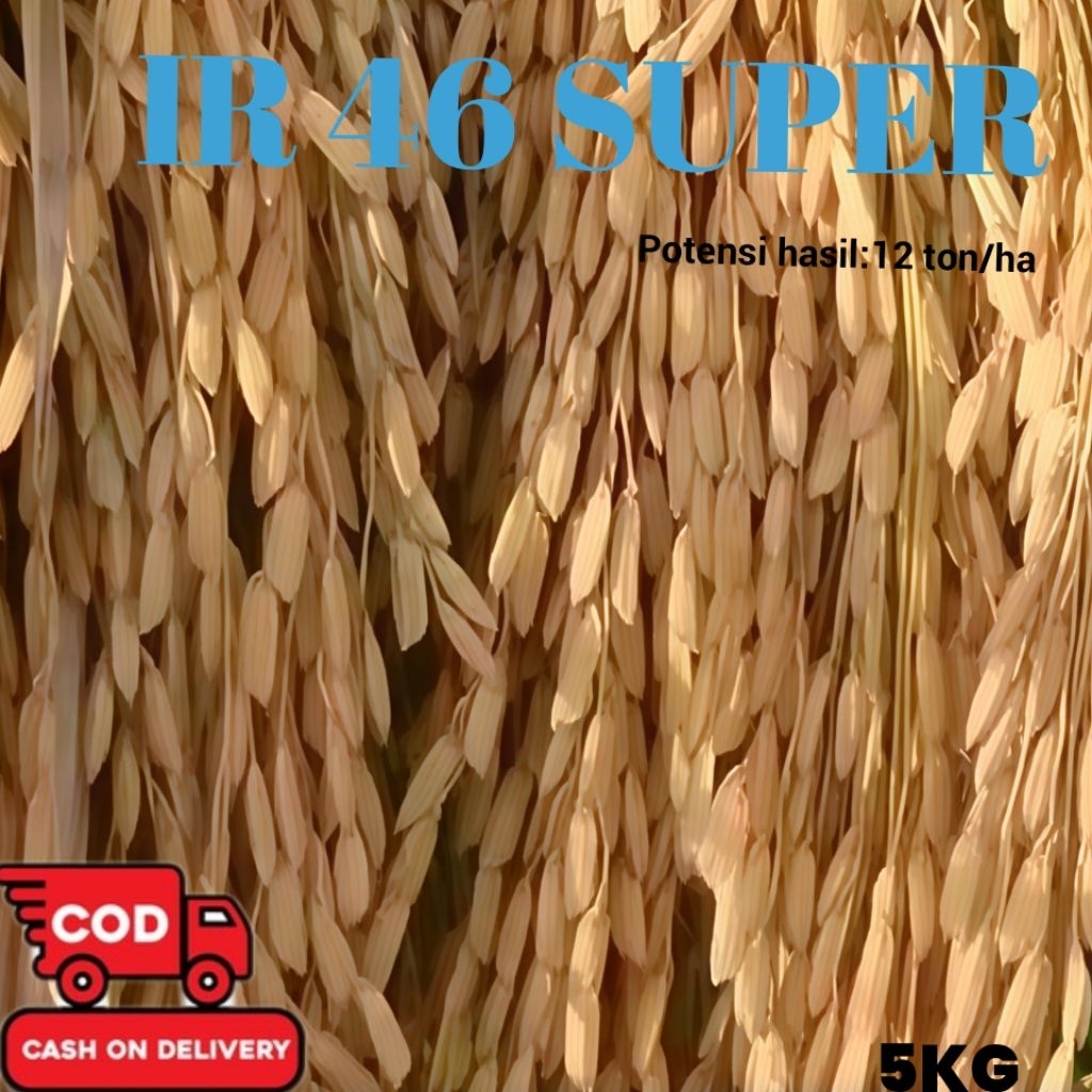 bibit/benih padi IR 46 SUPER kualitas unggul nasi pulen kemasan 5 kg