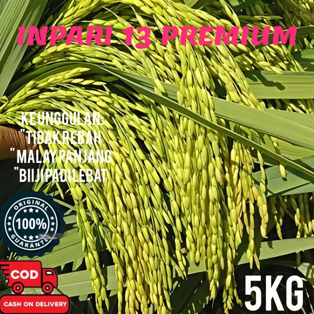 BIBIT/BENIH PADI INPARI 13 PREMIUM KEMASAN 5 KG