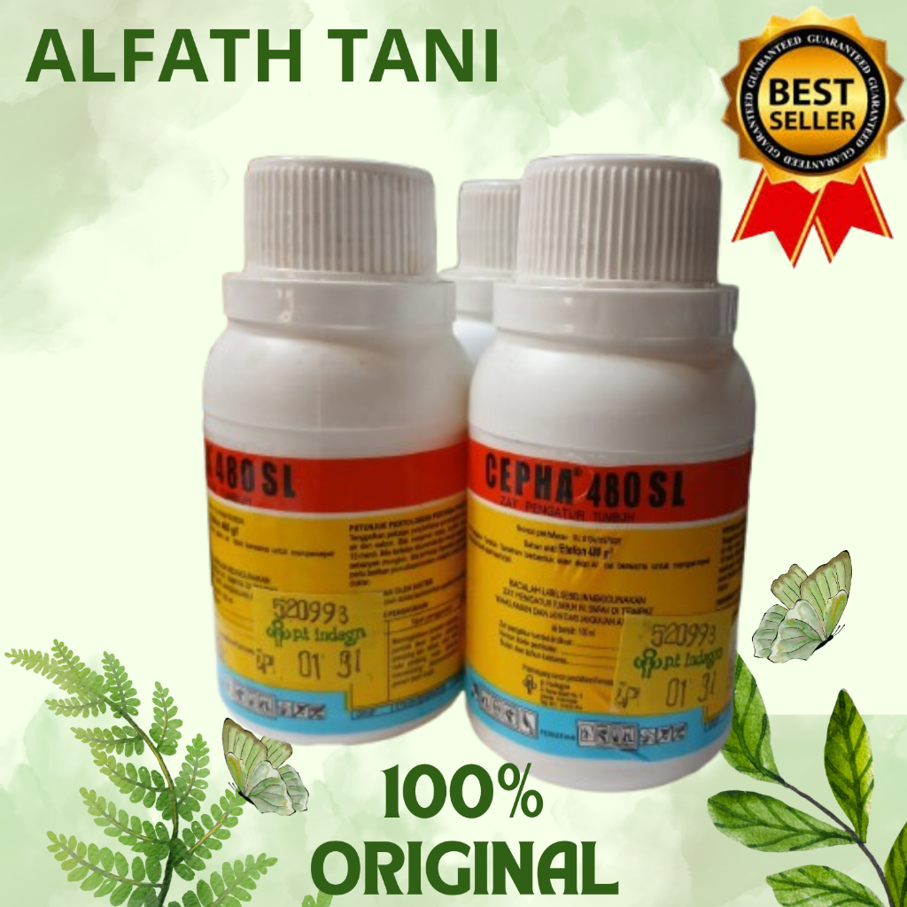 Cepha 480 SL - 100 ml (ZPT) Mempercepat Masaknya cabe,pisang,magga,Buah Apel dan Kopi