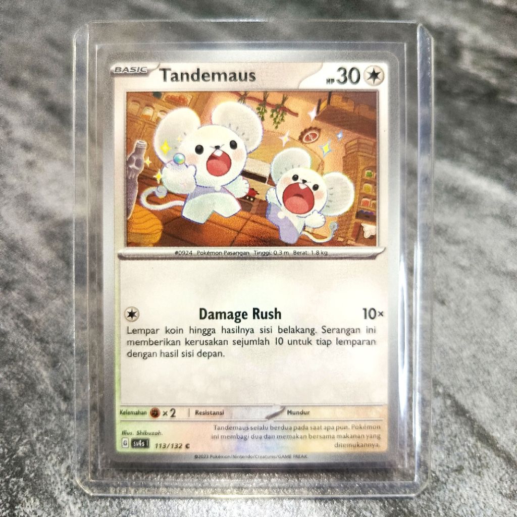 kartu pokemon tandemaus 113/132 kartu pokemon TCG original Indonesia