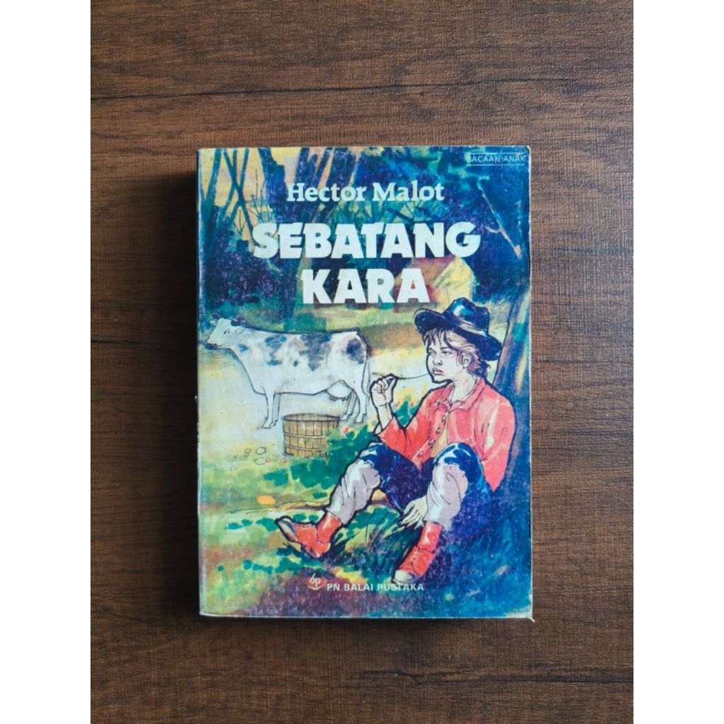 Sebatang Kara - Hector Malot (ada minus)
