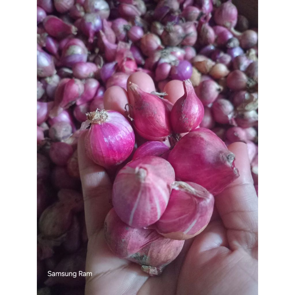 Bawang merah lokal 1 kg, Bawang merah