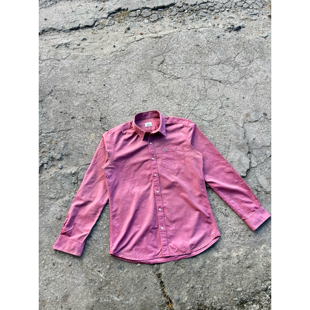 Kemeja Kator Lacoste Original