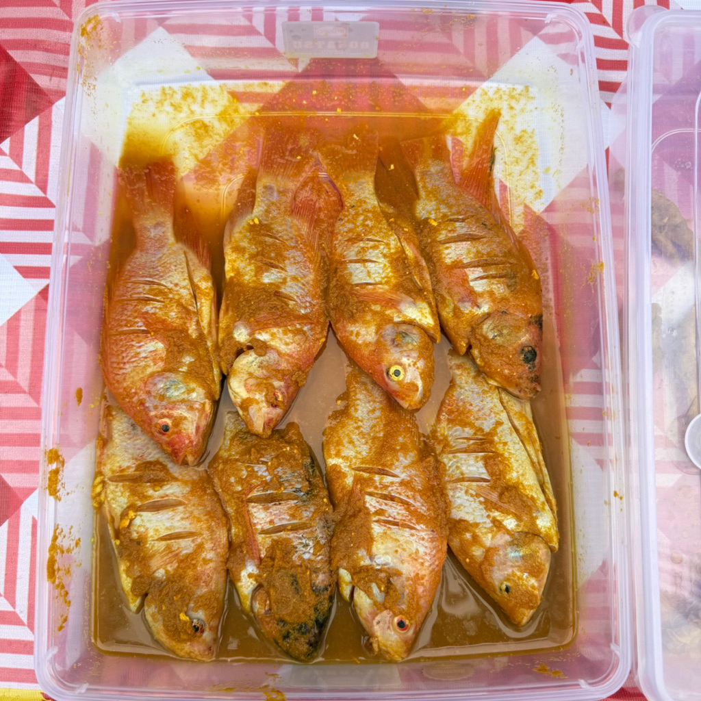 Ungkepan Marinasi Ikan Nila