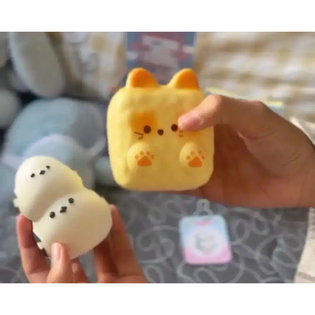 squishy hachimi healing bird blind box