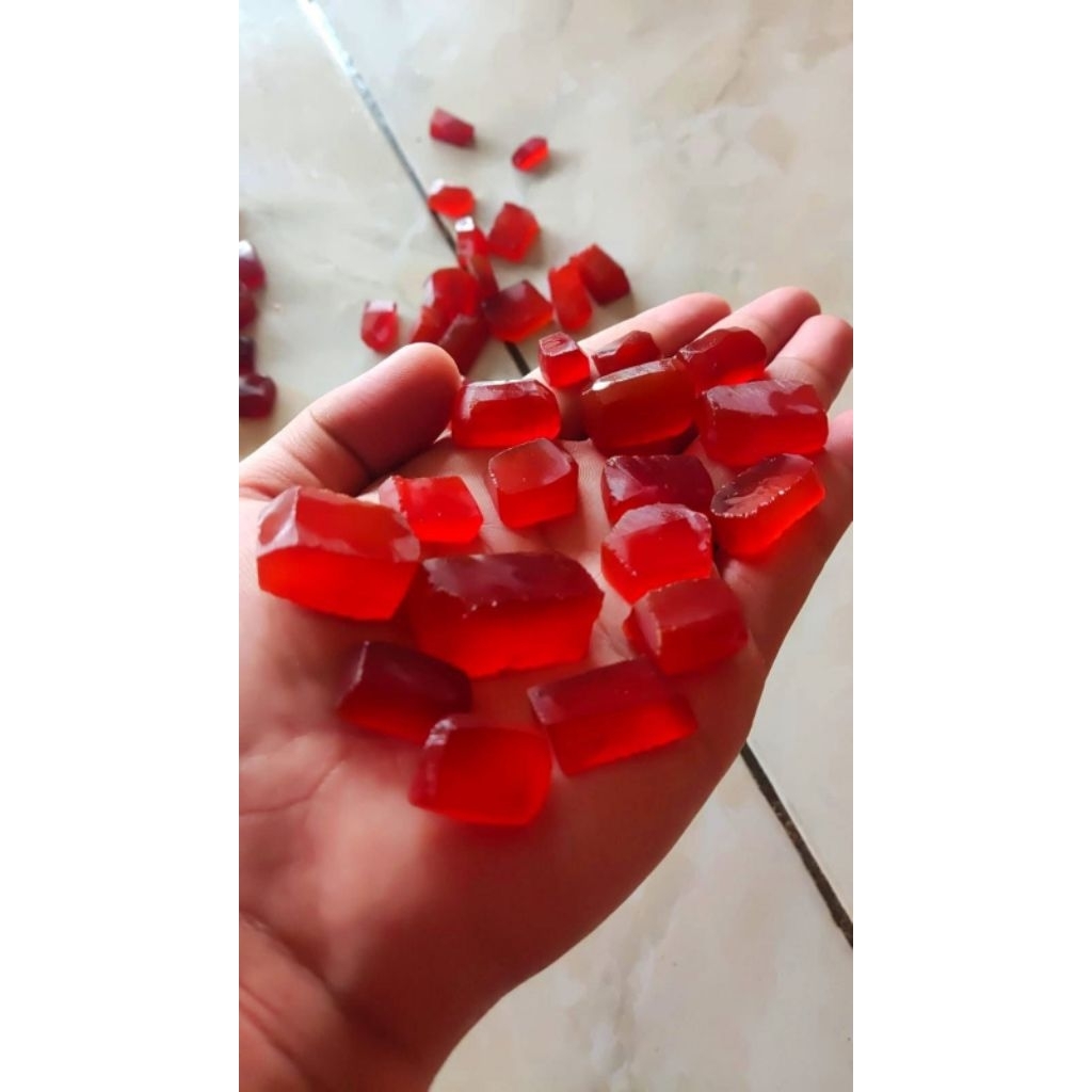 red raflesia bengkulu