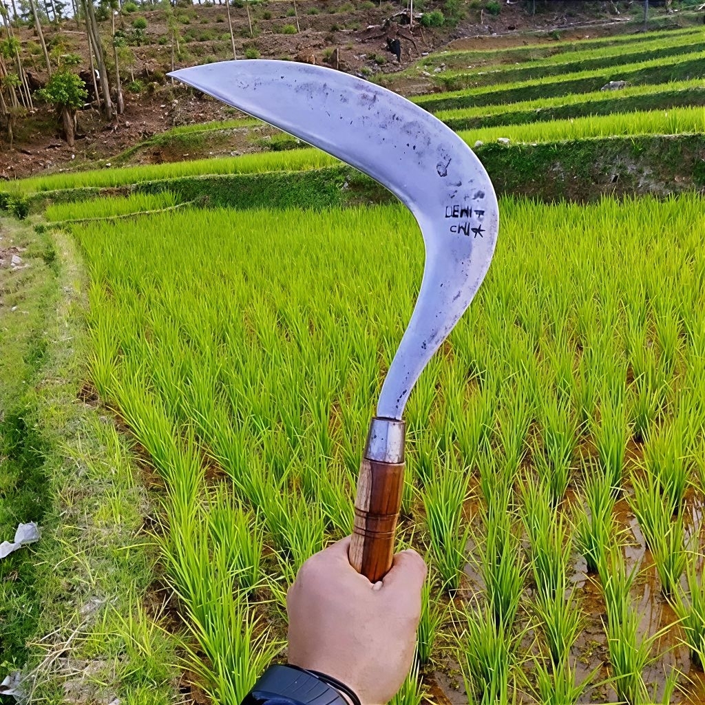 Sabit kusus rumput atau ranting ranting