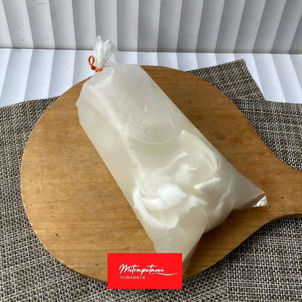 Air kelapa ijo, kelapa ijo murni, fresh water coconut