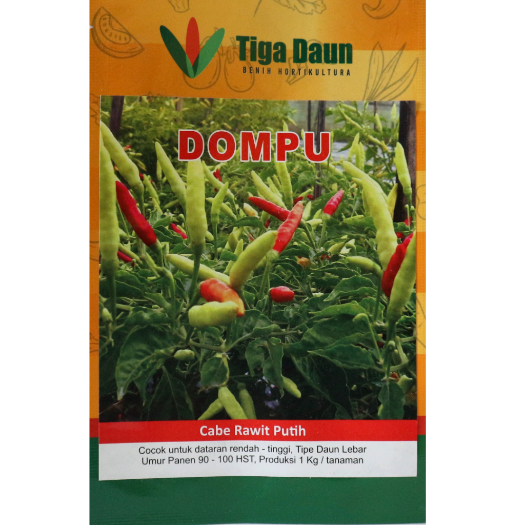 Cabe Rawit Dompu Benih Cabe Rawit Putih Tegak 10gr