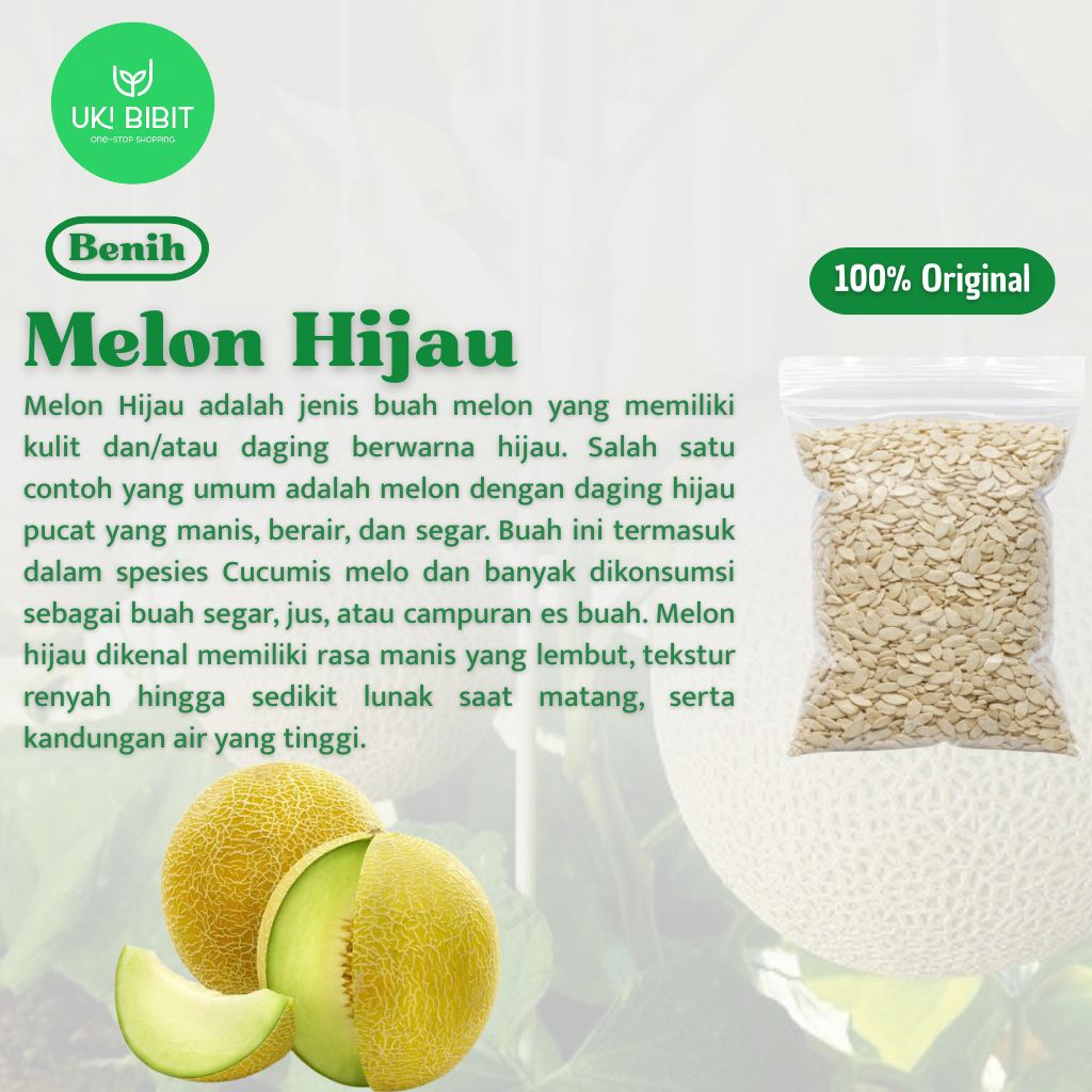 ( 500 Butir ) Benih Biji Melon Hijau | Melon Madu | Musk Melon