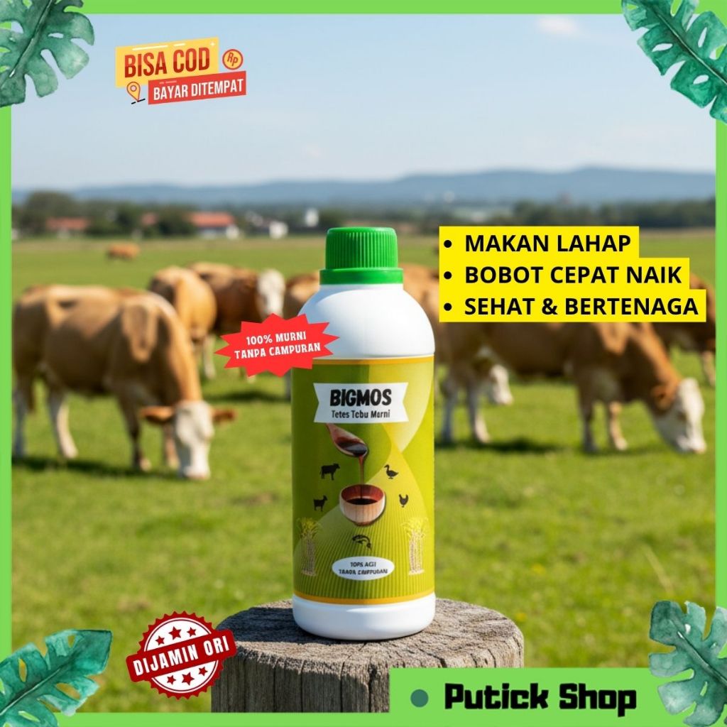 PENGGEMUK SAPI BIGMOS MOLASE TETES TEBU PENGGEMUK SAPI PENAMBAH NAFSU MAKAN TERNAK SAPI KAMBING