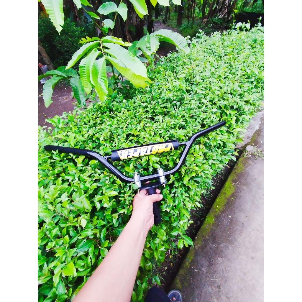 stang motor trail  universal