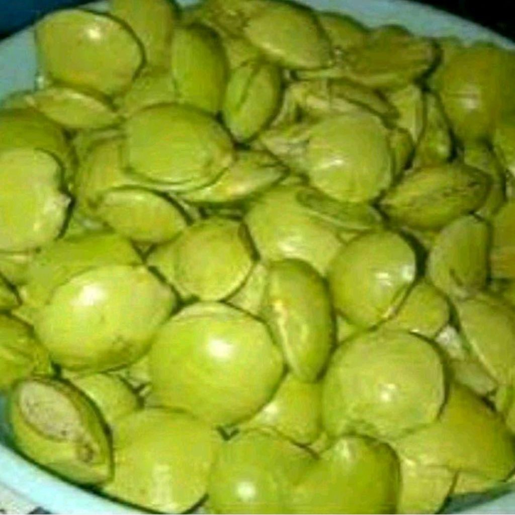 Jengkol Muda dan Tua Segar 1 kg, Kulit Masih Utuh