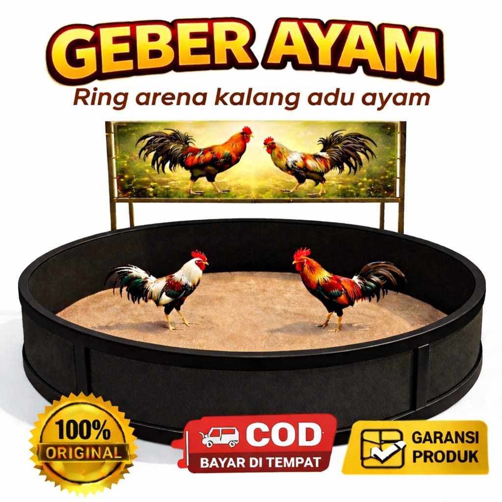 Geber ayam Diameter lingkaran 3 meter tebal 20mm ring tempat adu ayam adu ayam arena adu ayam kalang