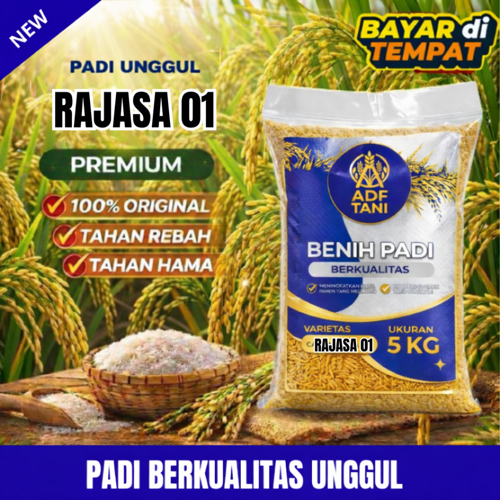 Benih padi 5kg benih padi rajasa 01 oraiginal kemasan 5kg