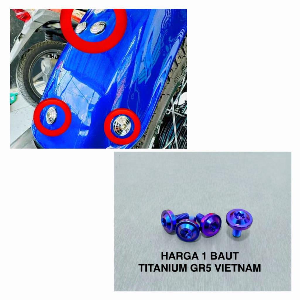 (1baut) baut spakbor belakang rx king titanium original vietnam