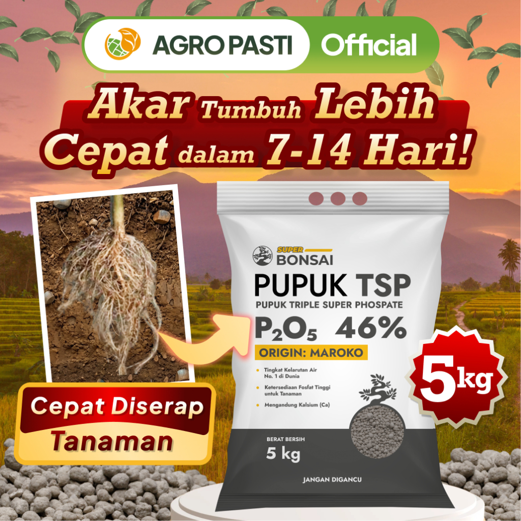 Pupuk TSP Fosfat Bonsai 5kg – Pupuk Kalsium, Pupuk Akar & Dasar untuk Pertumbuhan Optimal (Cabai, Pa