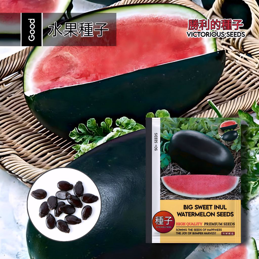 50 Butir Benih Semangka Inul Jumbo Non Biji F1 | Kemasan Pabrik | Seedless | Mudah Panen | Non Biji