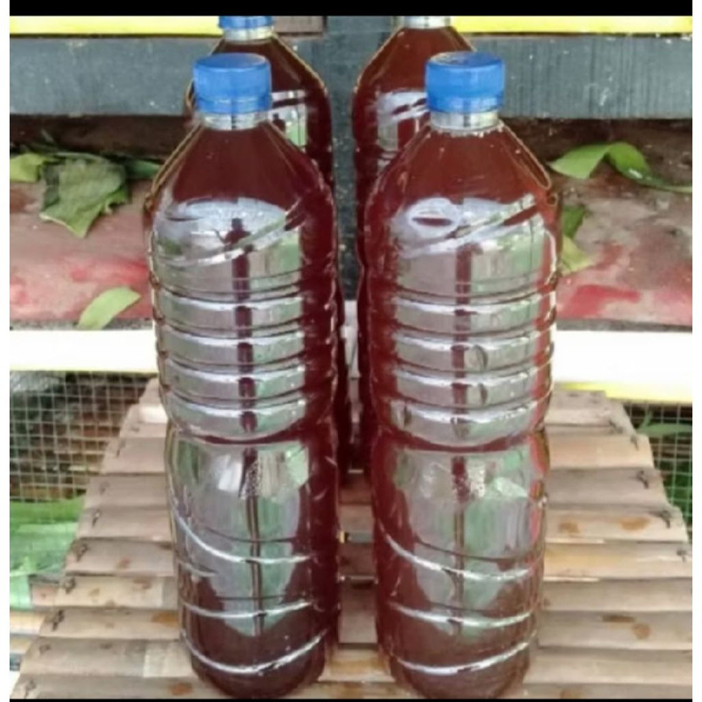 urine kelinci POC murni 1,5L