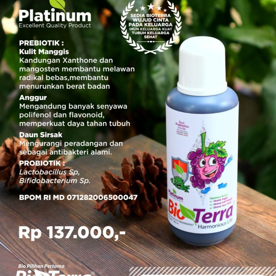 Bio Terra Bioterra Biotera Platinum Probiotik Original untuk Tiroid Kelenjar Getah Bening TBC