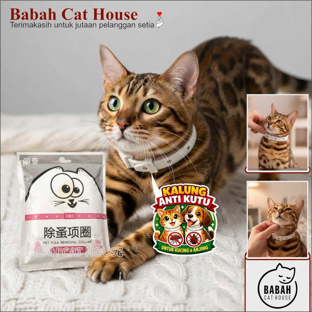 KALUNG PUTIH ANTI KUTU Kucing Anjing Murah Lucu Untuk Kitten Aksesoris Bagus Keren Import Dan Nyamuk