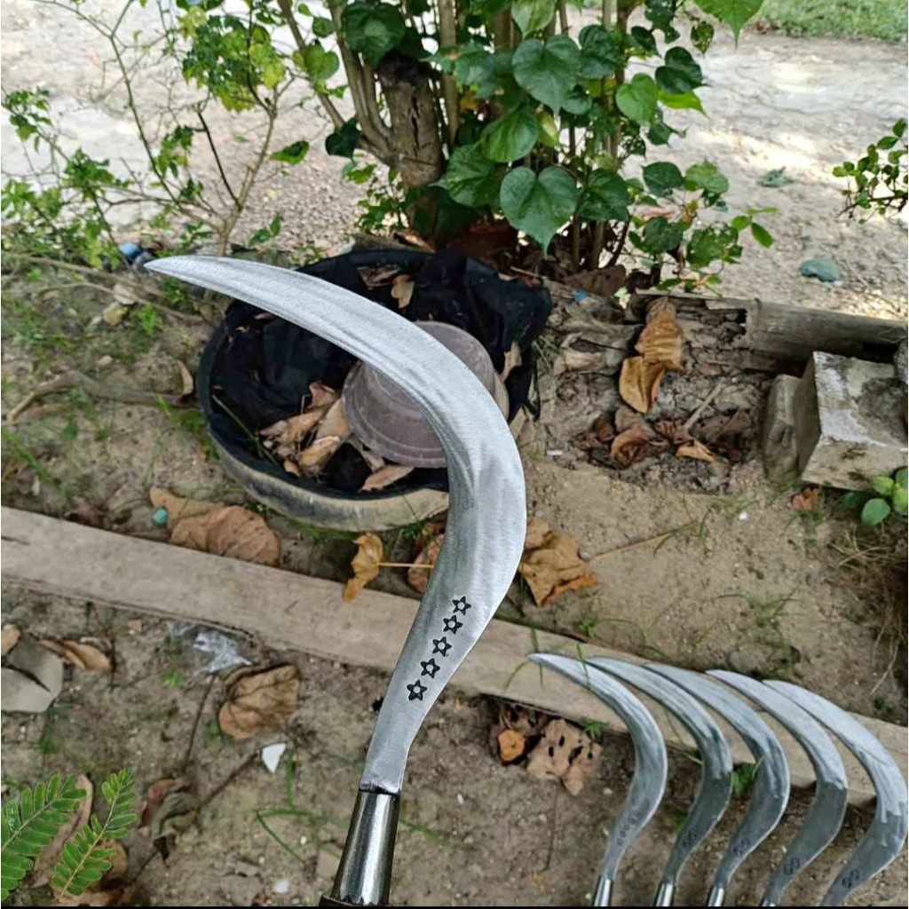 Arit rumput bintang 5 original Madura