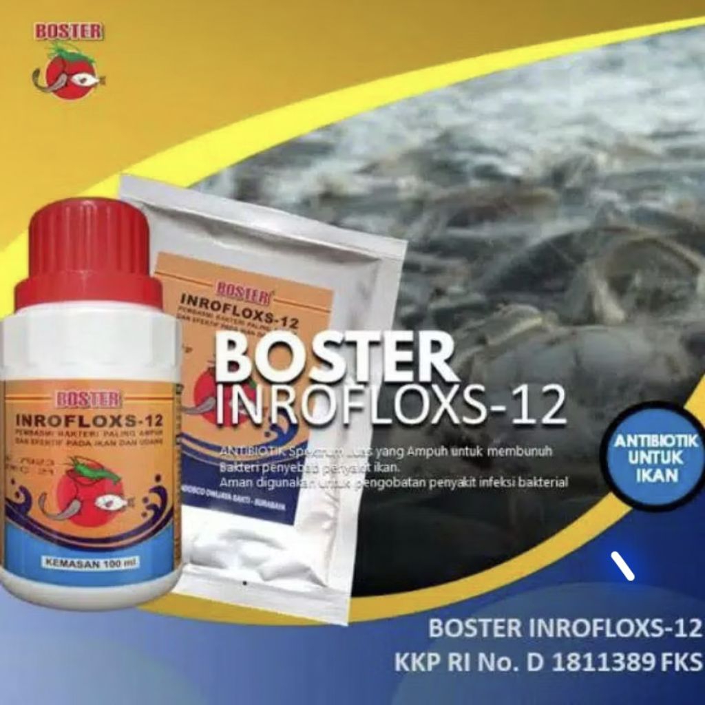 Boster Interflox -12 Original