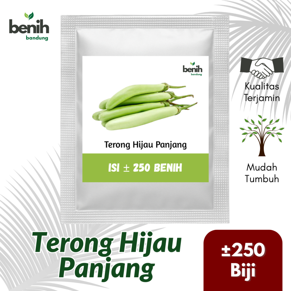 Benih Terong Hijau Panjang Bibit Unggul Tahan Virus 250 Bjii