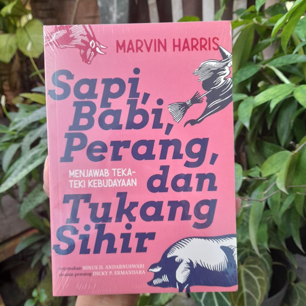 (ORI/SEGEL) SAPI BABI PERANG DAN TUKANG SIHIR