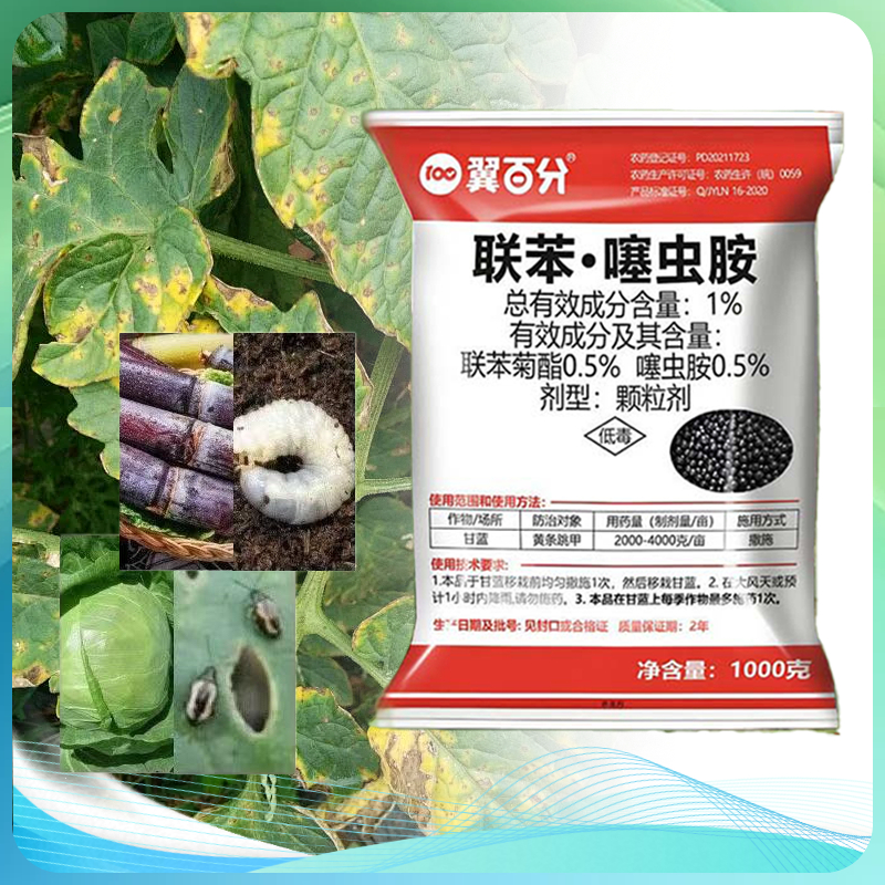 Obat Hama Tanaman Pestisida Organik Hama Semut Pada Tanaman Insektisida Hama Tanah  Pestisida Untuk 