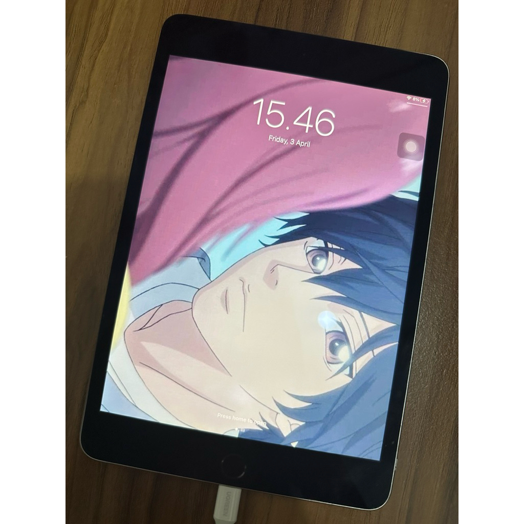 iPad Mini 4 128 Minus