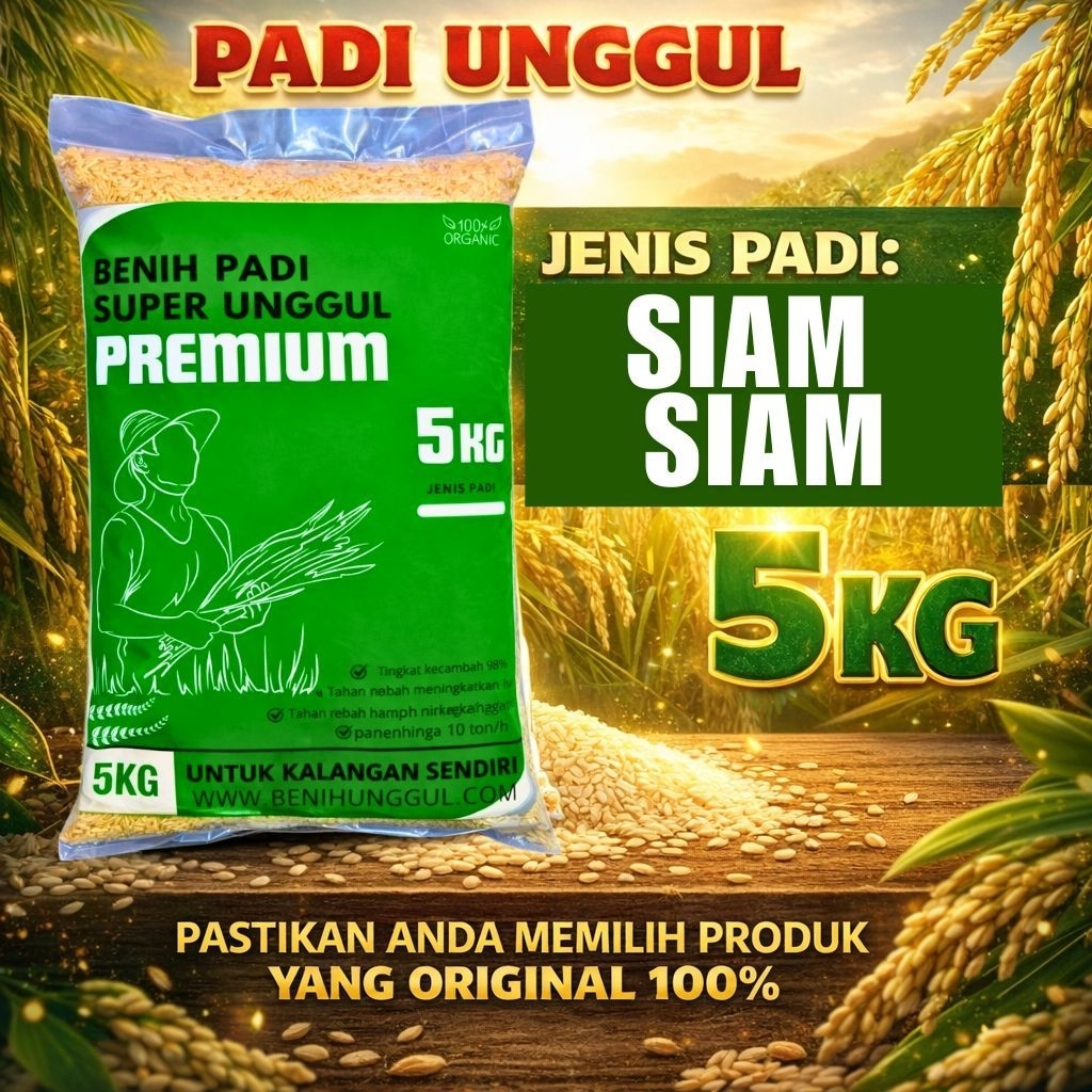 benih padi padi siam siam kemasan 5 kg
