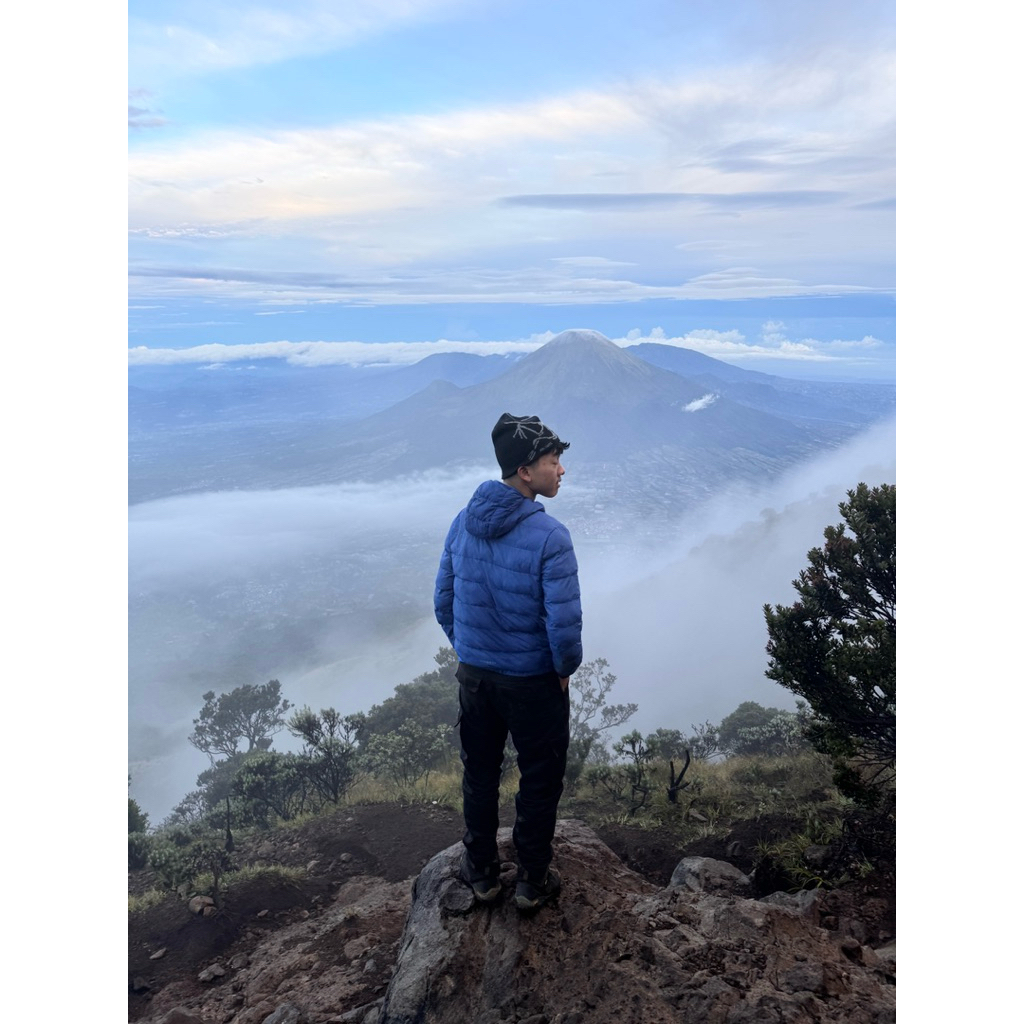 jaket uniqlo puffer