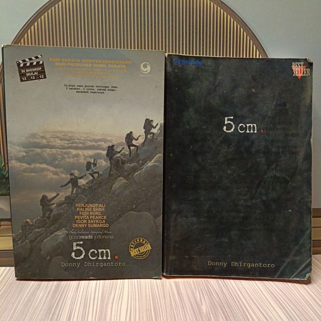 Novel Preloved Best Seller 5 cm karya Donny dhirgantoro Original