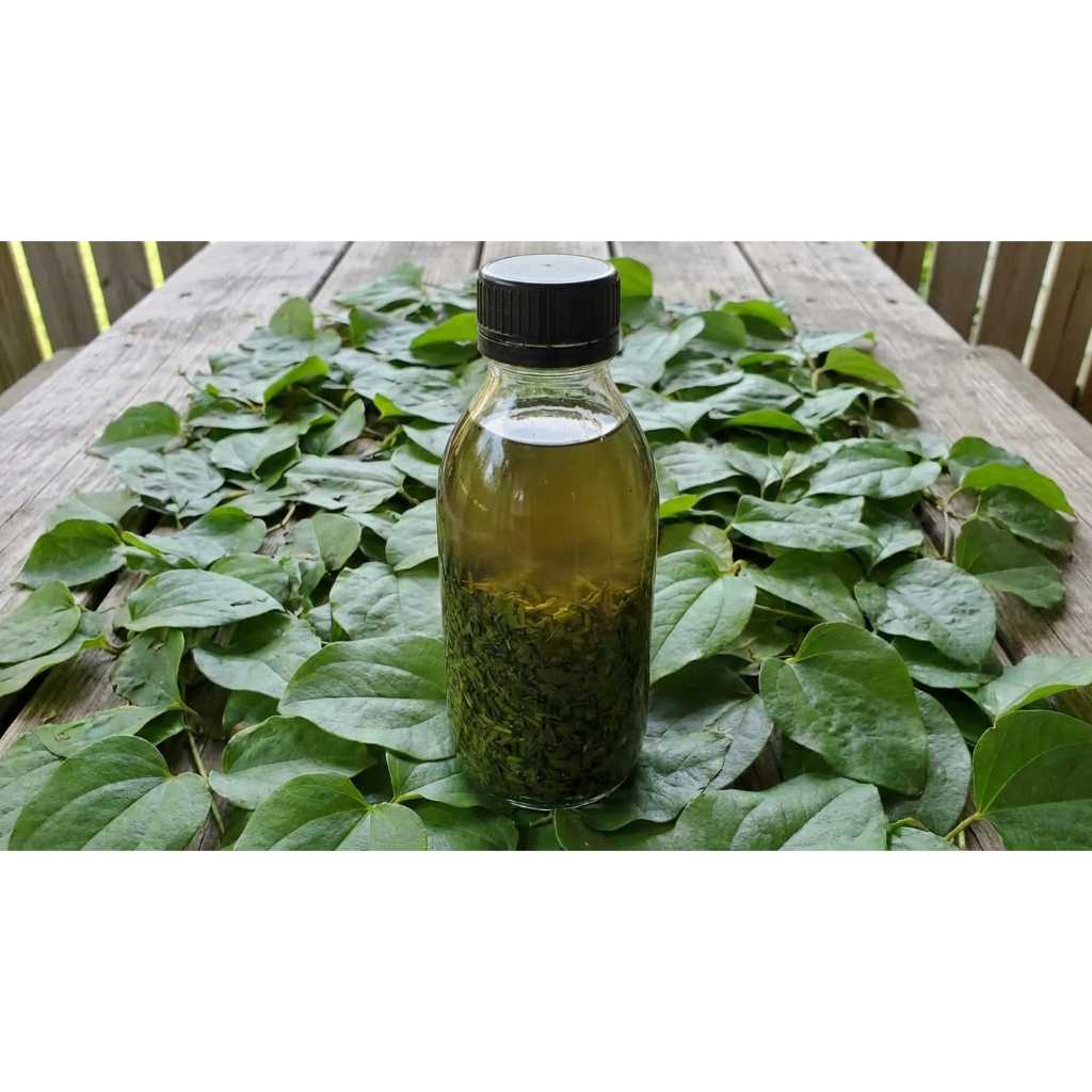 Minyak Alvino Super Asli Original 100%
