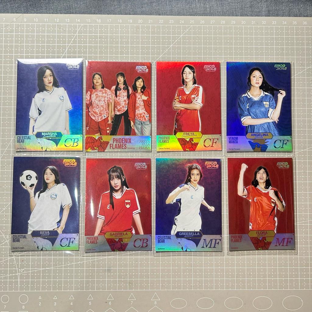 PANINI Erigo x JKT48
