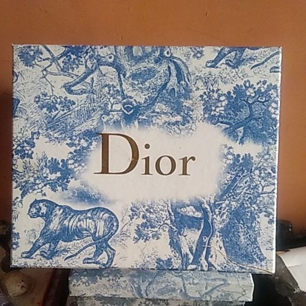 kardus box tas DIOR 24x20x11