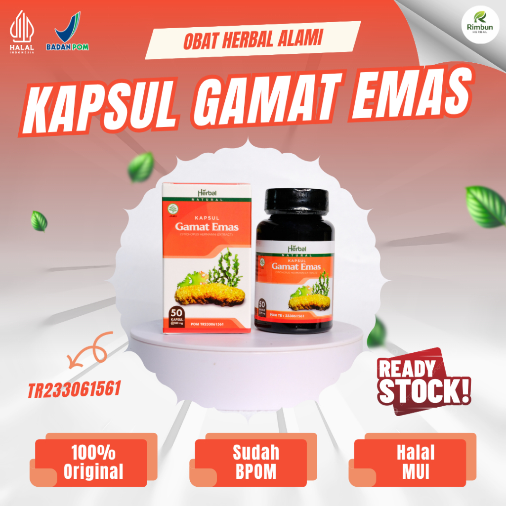 Kapsul Gamat Emas 100% Asli - Ekstrak Teripang Emas Isi 50 Kapsul